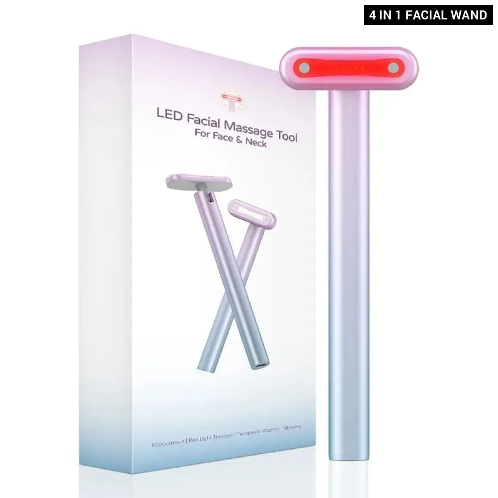 4 in 1 Ems Facial Wand Led Red Light Therapy Facial Massage Tool for Face Neck
