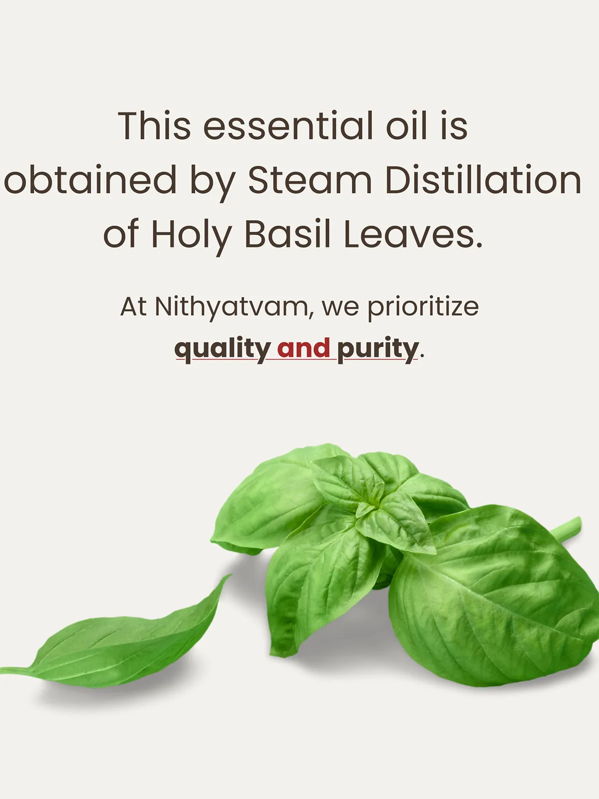 Holy Basil Essential Oil